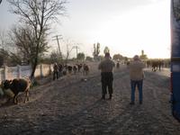 auf dem Weg zum Issyk Kul See