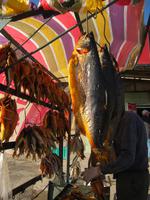 Fotostopp auf dem Weg zurück nach Bishkek