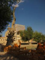 Buchara - Lyabi Haus Platz