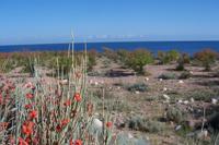 Issyk Kul