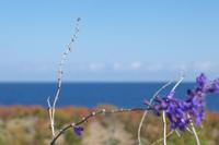 Issyk Kul