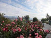 am Issyk Kul See