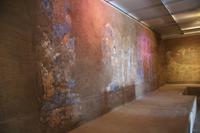 im Afrosyab Museum