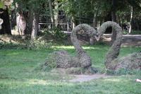 im Eichenpark