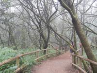 La Gomera - Rundreise – Inselhüpfen auf den Kanaren