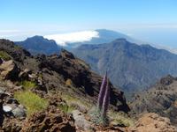 La Palma - Rundreise – Inselhüpfen auf den Kanaren