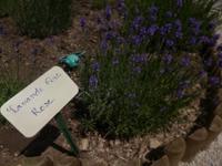 5_Landausflug Ardeche (15)