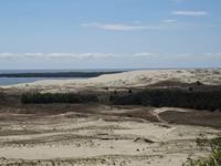 Kuhrische Nehrung - Wanderdüne