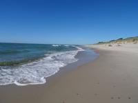 Kuhrische Nehrung - Natur pur