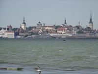 Tallinn - Blick zur Altstadt