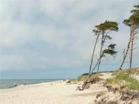 Darsser Weststrand