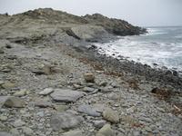 IMG_4089