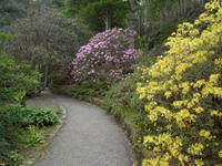 Inverewe Garden