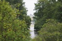 Durch den St. James Park zu den Horse Guards