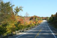 Fahrt in den Algonquin-Nationalpark