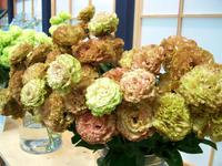 Floriade 2012 in Venlo