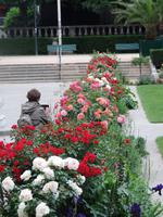 23 Grenoble - Jardin de Ville