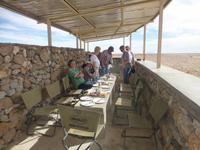 Picknick bei den Wildpferden