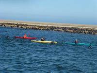 Walvis Bay Robbenkolonie