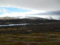 Fahrt über das Dovrefjell