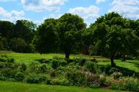 141 Knighthayes Court