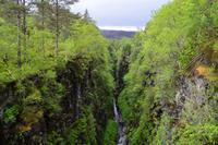 636 Schottland, Corrieshalloch Gorge, the Falls of Mesach