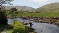 Aasleagh Waterfall