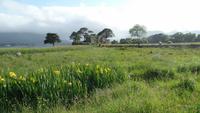 Killarney Upper Lake