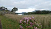 Killarney Upper Lake - Heute sieht das Wetter besser aus!