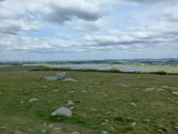 Synesvarden
