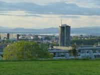 Stavanger