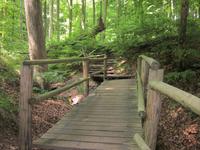 Wanderweg im Nationalpark Jasmund