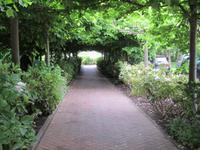 wunderschöne Promenade am Schmachter See von Binz