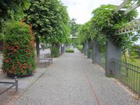 Wandelgang in Binz