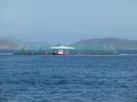 Stavanger - Lachszucht