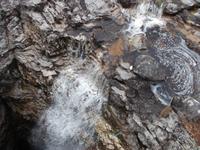 Mundloch des Wasserfalls von Smoo Cave