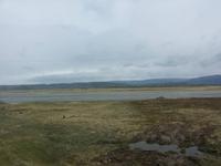 16.06.15: Fahrt durch die Tundra