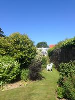 Garten Mrs. Lies