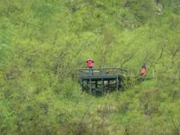 ...in der Schlucht von Asbyrgi