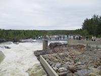 Bei der Lachstreppe von Norrfors