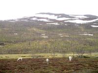 Blick ins Sennalandet