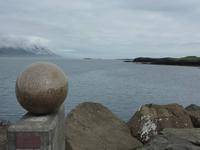 Eiersammlung in Djupivogur