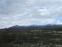 Im Dovrefjell