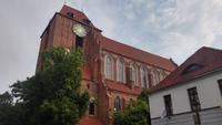 Dom zu Torun
