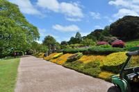 Mount Edgcumbe in Cornwall