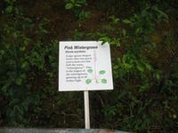 Mendenhall-Gletscher Visitor Information