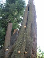 Stadtrundfahrt in Vancouver