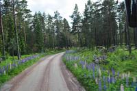 Auf nach Lilla Sverigebyn