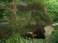 Besuch der Butchart Gardens in Victoria, British Columbia