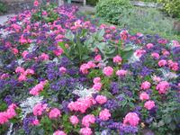 Besuch der Butchart Gardens in Victoria, British Columbia